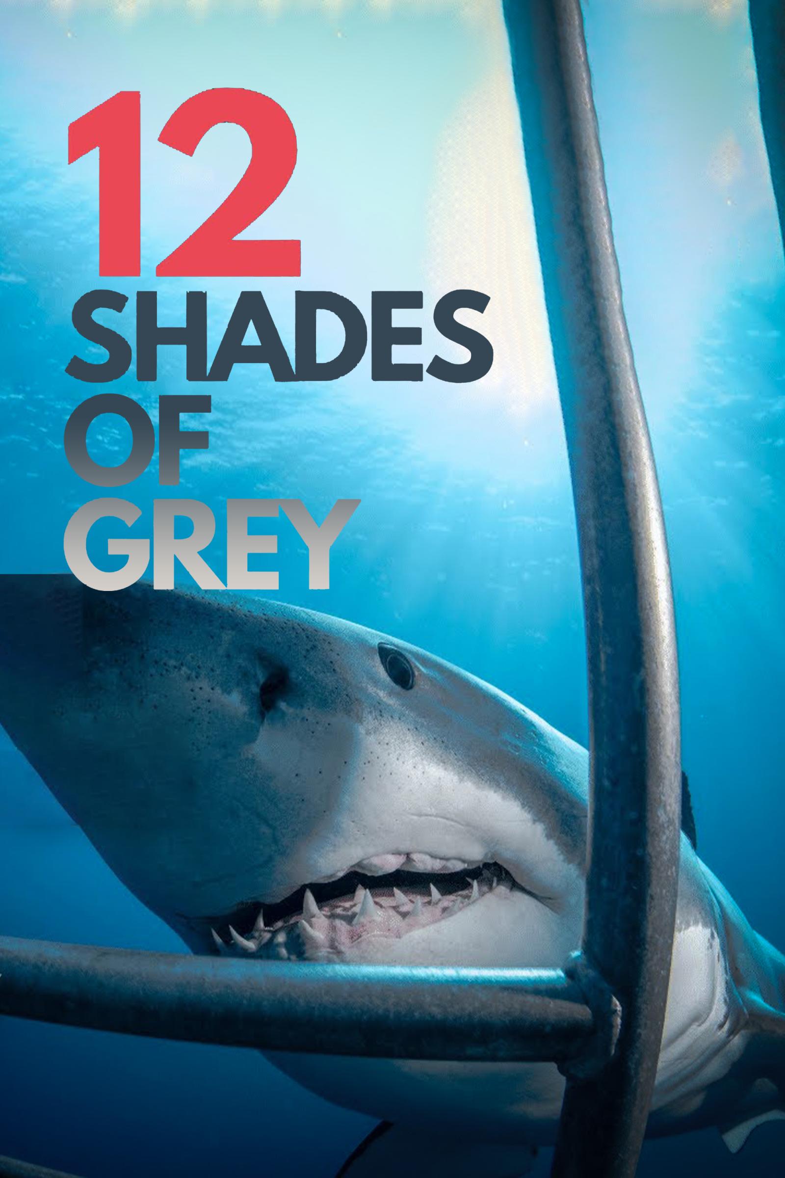 Where to stream 12 Shades of Grey