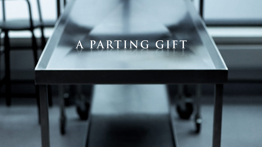A parting gift docplay