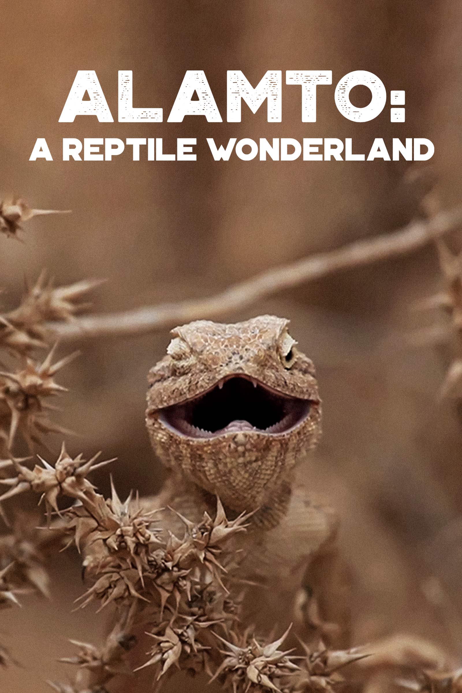 Where to stream Alamto: A Reptile Wonderland