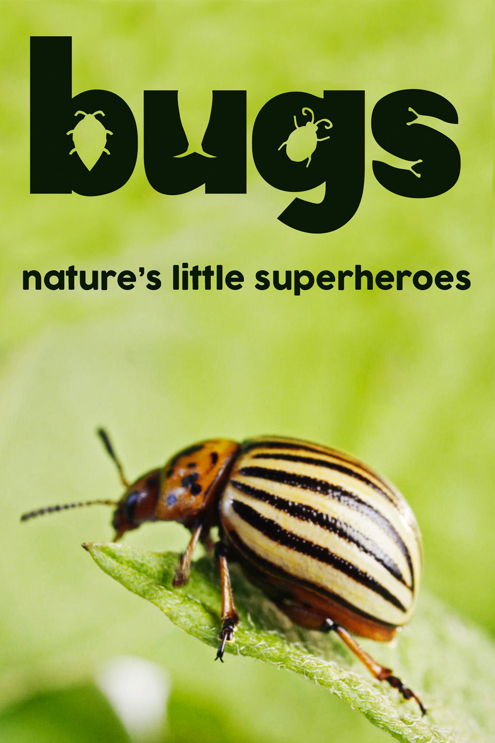 Where to stream Bugs: Nature's Little Superheroes
