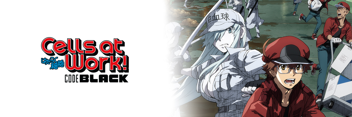 Cells at Work! CODE BLACK Watch Episodes for Free AnimeLab