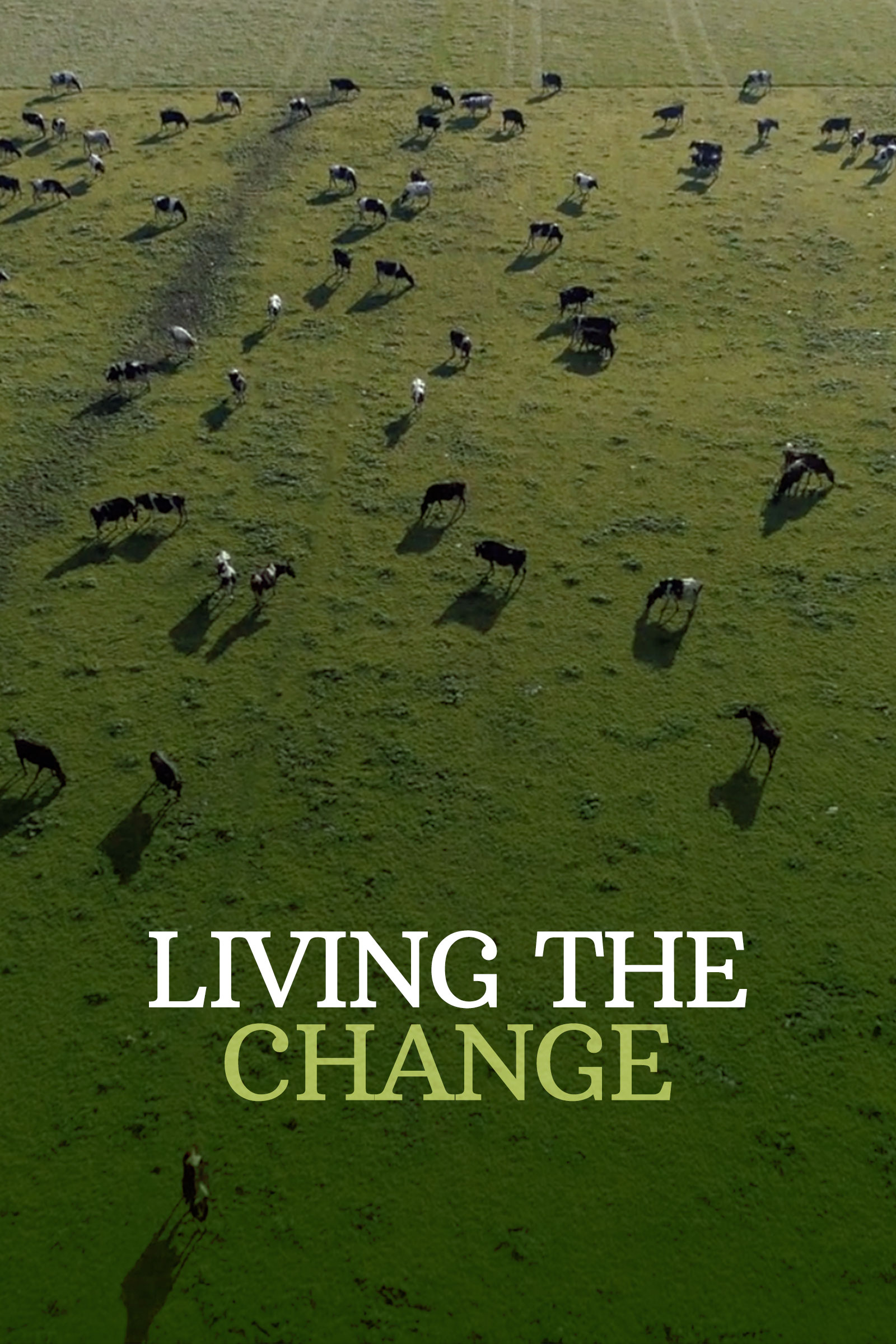 Where to stream Living The Change