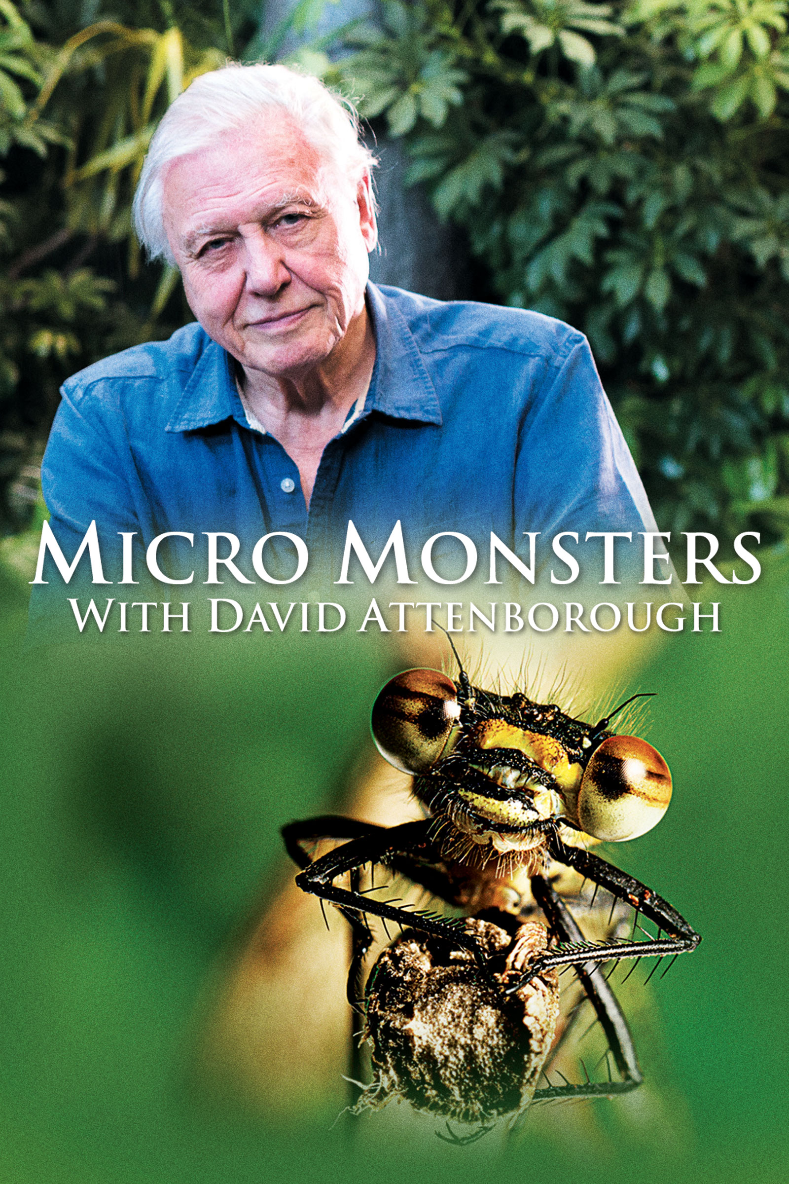 Where to stream Micro Monster - David Attenborough