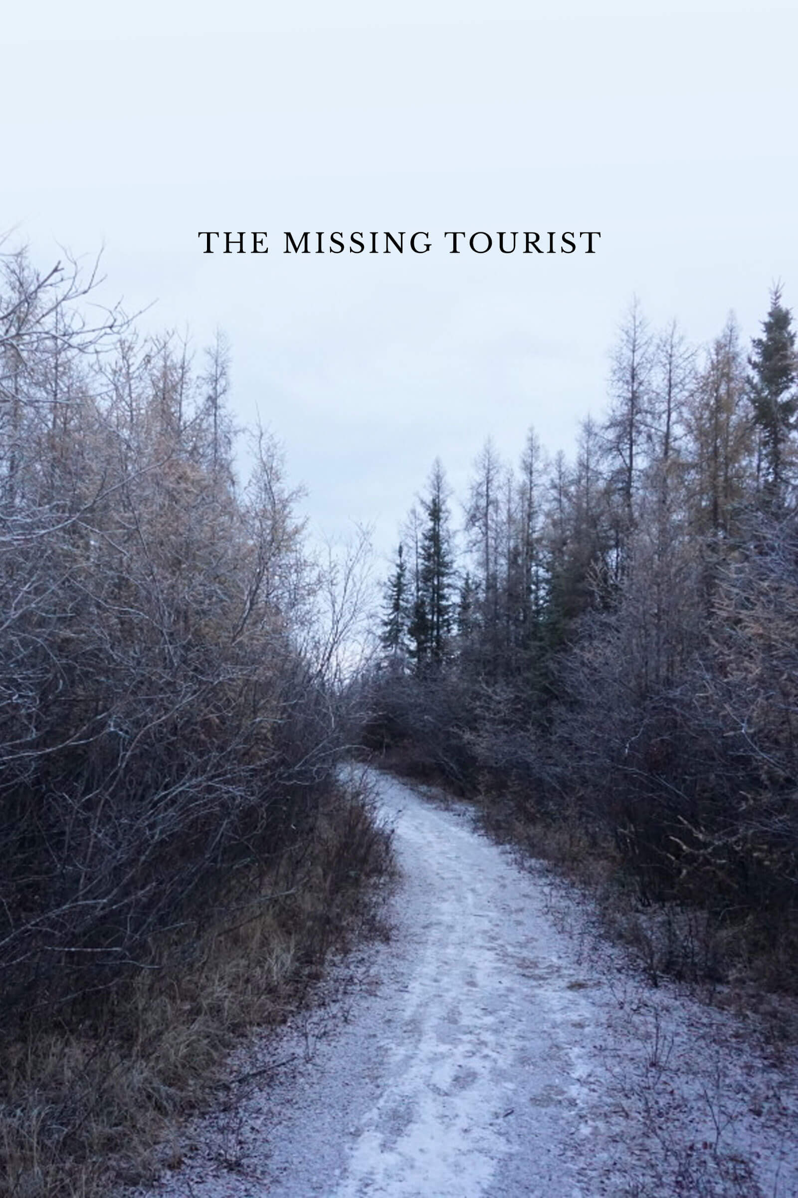 Where to stream Missing Tourist