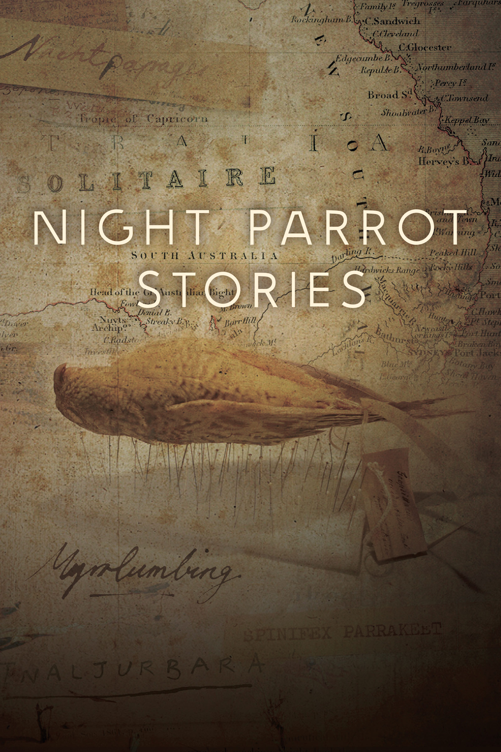 Where to stream Night Parrot Stories