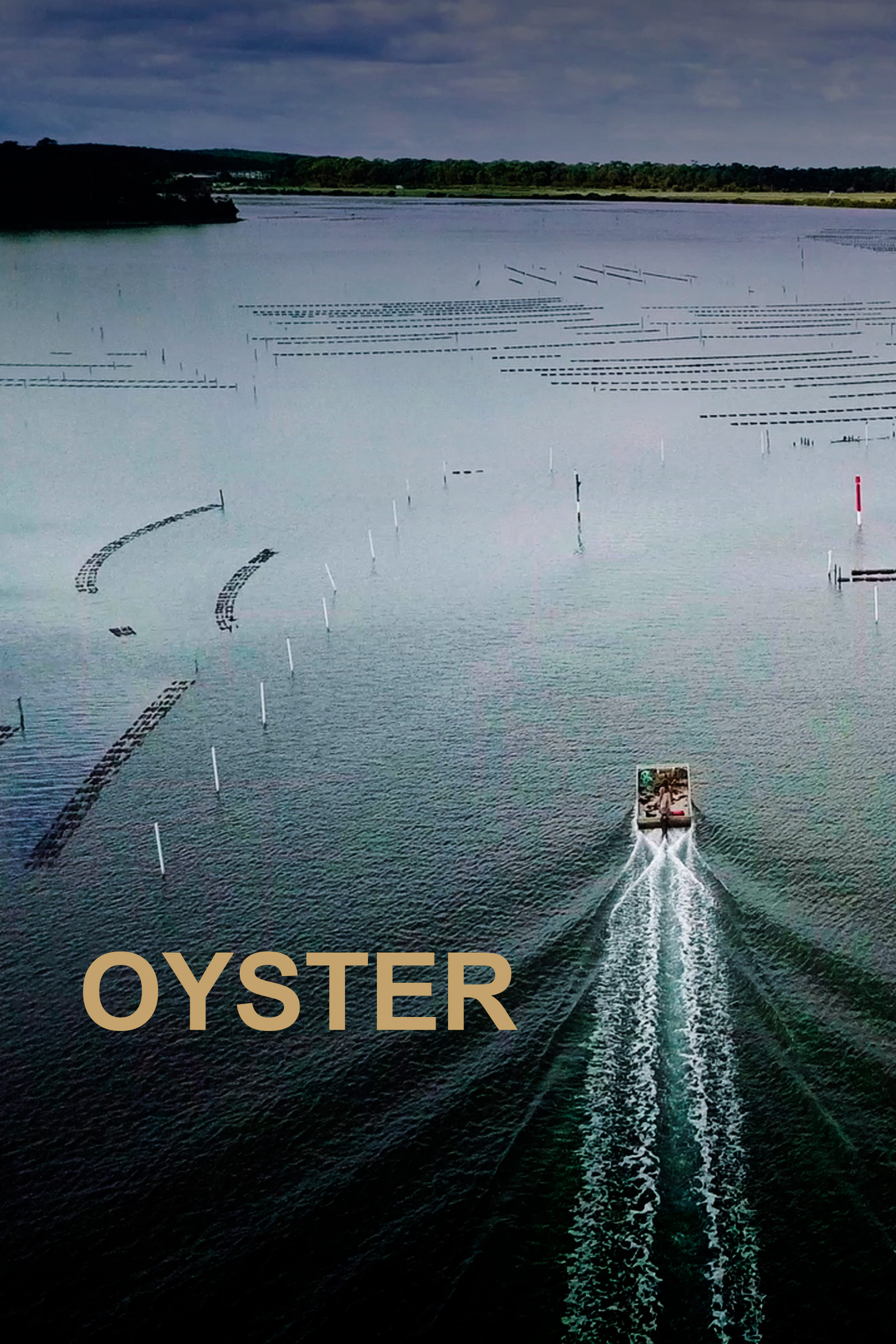 Where to stream Oyster