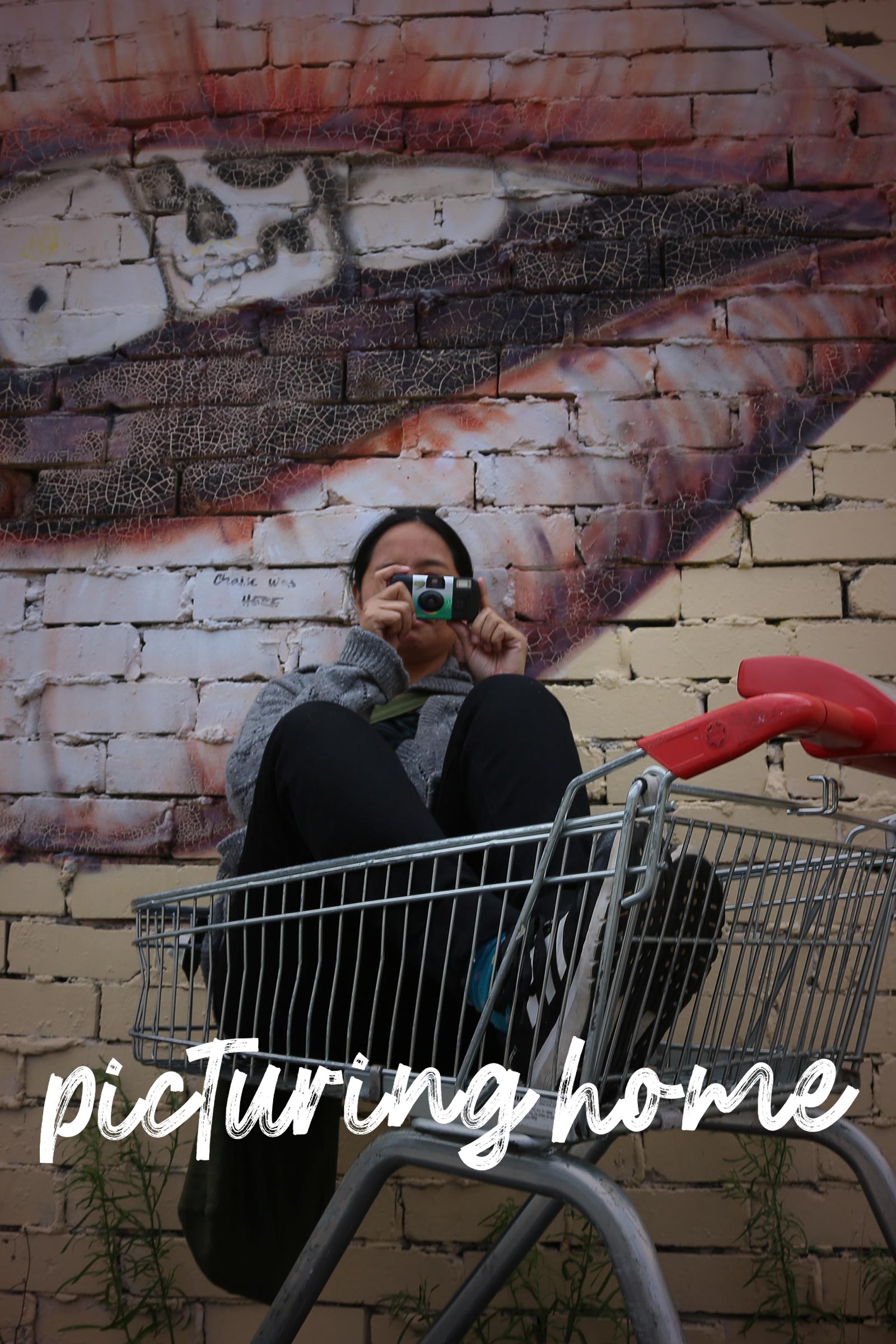 Where to stream Picturing Home