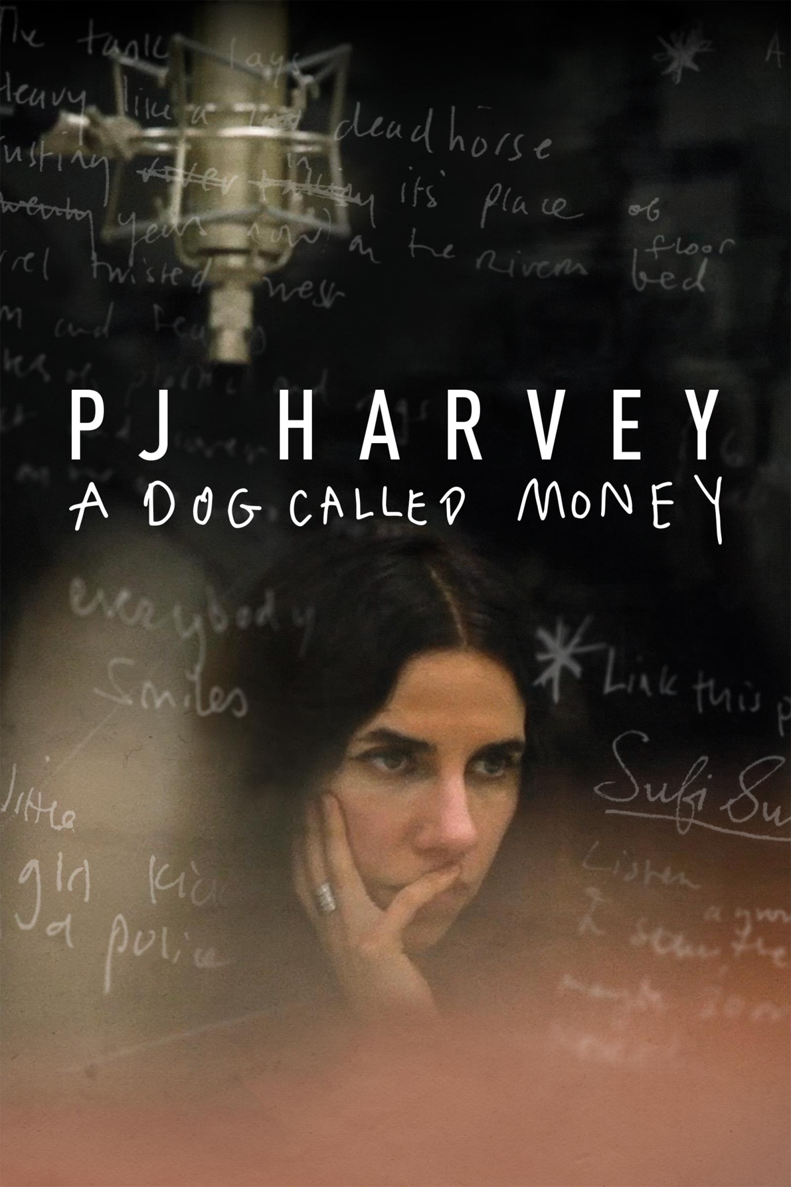 Where to stream PJ Harvey: A Dog Called Money