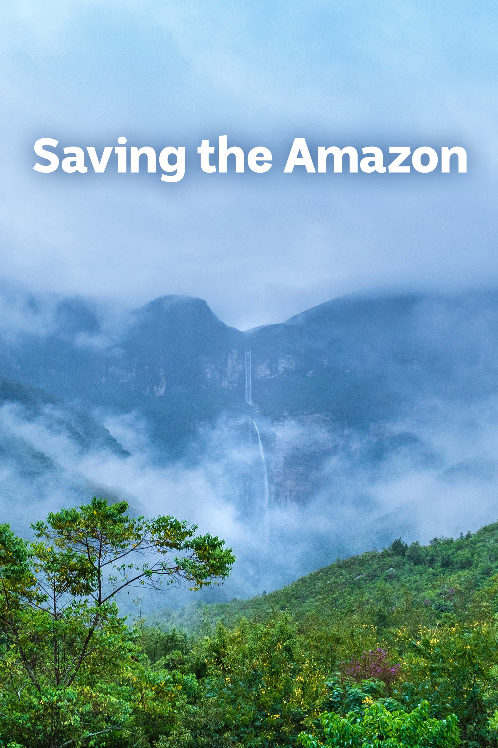 Where to stream Saving the Amazon