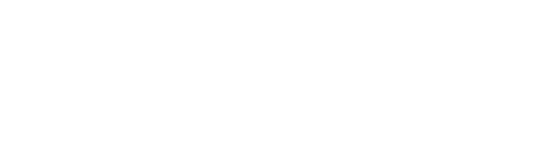 The Young Berlusconi