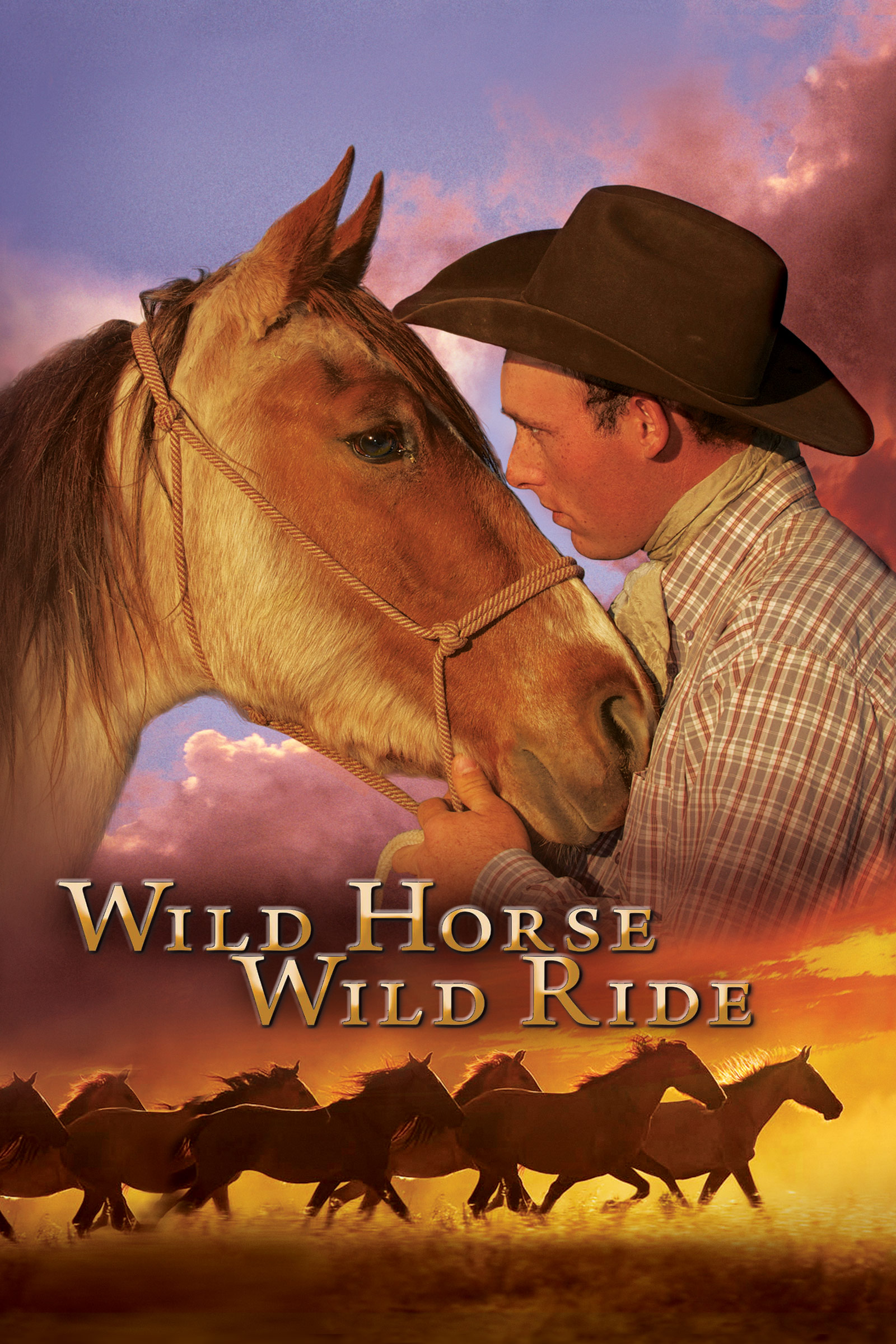 Where to stream Wild Horse Wild Ride